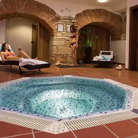 Hotel Hejtmanský Dvůr Slaný