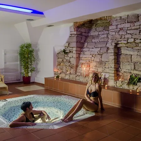 Hejtmansky Dvur 4* סלאני